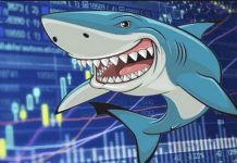 Đu theo “cá mập” để đầu tư có dễ dàng?