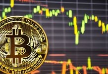 Bitcoin tích lũy BTC dự đoán tài sản phục hồi