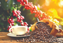 Ngày 23/10: Giá cà phê tăng mạnh