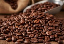 Giá cà phê 27/10: Robusta kéo giá hướng 120.000 đồng/kg