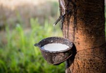 Giá cao su 7/11: Thế giới giảm trở lại