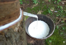 Giá cao su 13/11: Thị trường thế giới trái chiều, trong nước ổn định