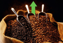 Giá cà phê hôm nay 11/11: Tăng nhẹ tại Tây Nguyên