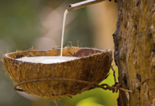 Giá cao su 10/11: Thị trường quốc tế phục hồi, trong nước ổn định