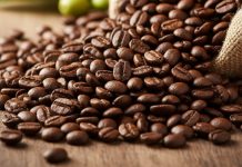 Giá cà phê 21/11: Trong nước giảm mạnh, thế giới tăng trở lại