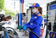 Giá xăng dầu 14/11: Trong nước và thế giới đồng loạt tăng