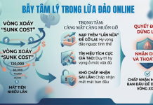 Tâm Lý “Gỡ Vốn” Và Vòng Xoáy Lừa Đảo Online