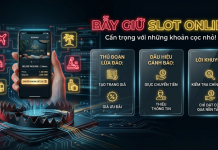 Lừa Đảo Giữ Slot Booking Online Đang Gia Tăng