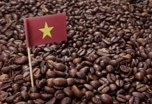 Xuất khẩu cà phê chế biến mang về 553 triệu USD