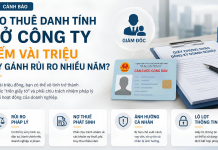 Cho Thuê Danh Tính Mở Công Ty: Kiếm Vài Triệu Hay Gánh Rủi Ro Nhiều Năm?