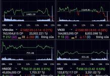 Chứng khoán hôm nay 3/6/2026: VN-Index lao dốc, nhà đầu tư thận trọng chờ vùng hỗ trợ