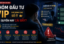 Nhóm Đầu Tư VIP Chỉ Dành Cho Số Ít: Đặc Quyền Hay Cái Bẫy?