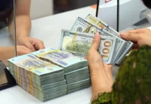 Tỷ giá USD hôm nay 6/7: USD giảm nhẹ